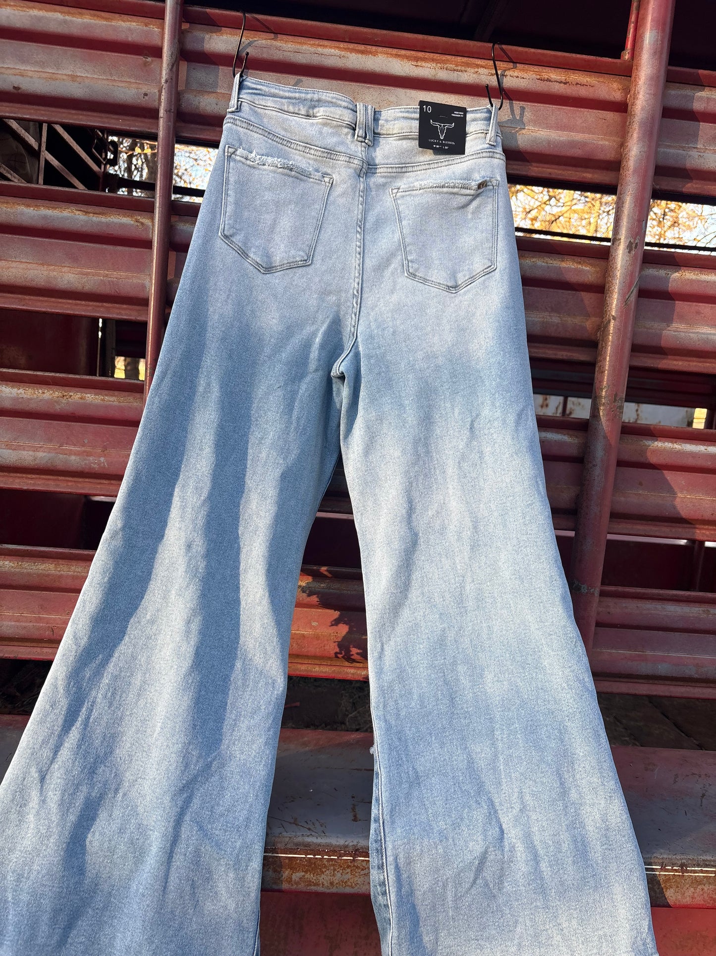 Rodeo Rebel Wide-Leg Jeans
