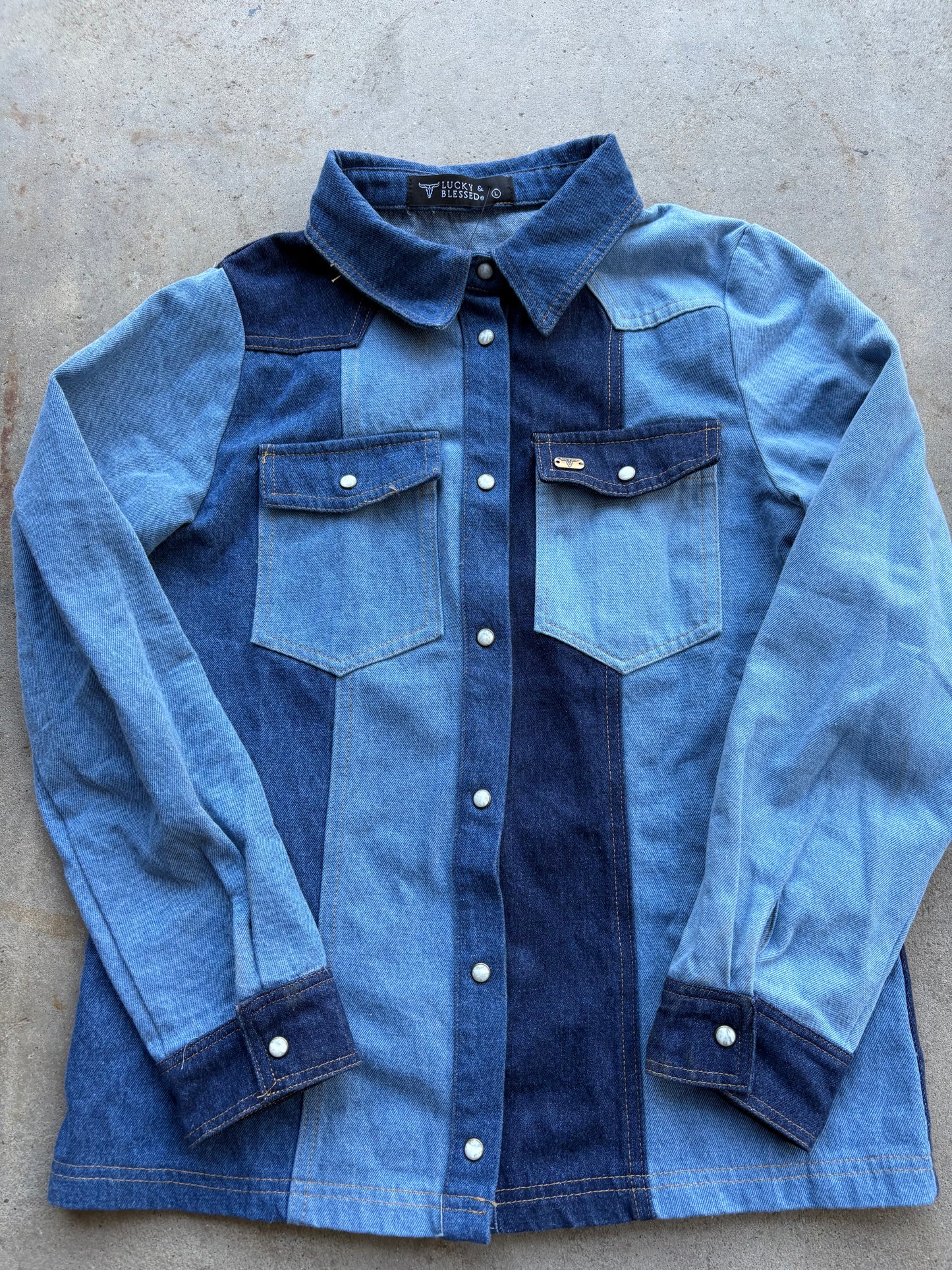 Rodeo Blues Button Up