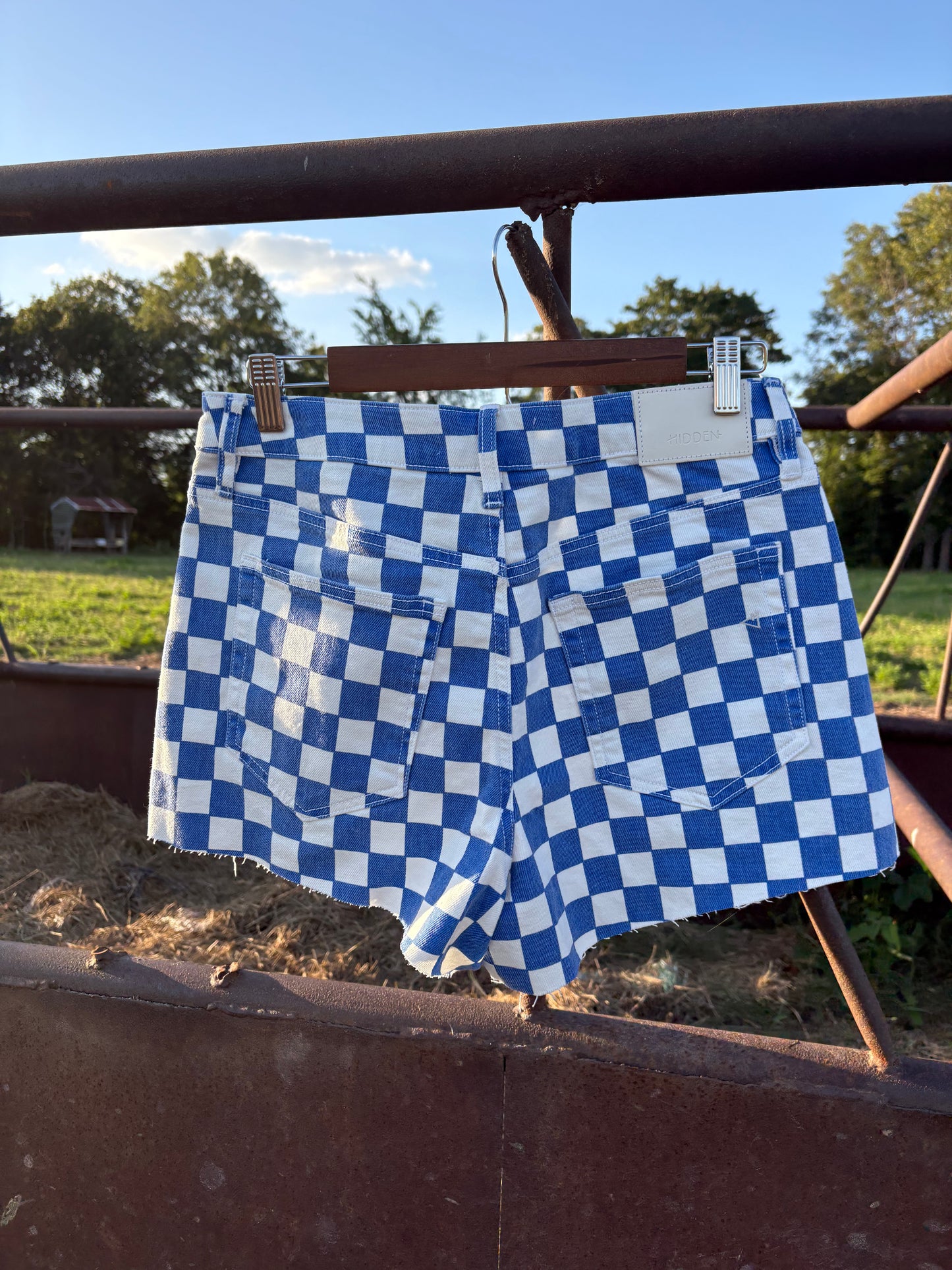 Blue Ribbon Shorts