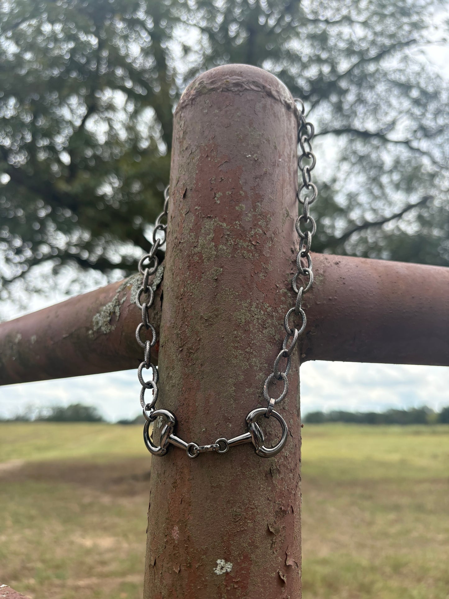 Snaffle Bite Necklace