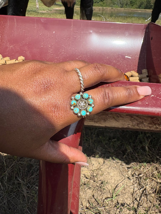 TQ Cluster Ring