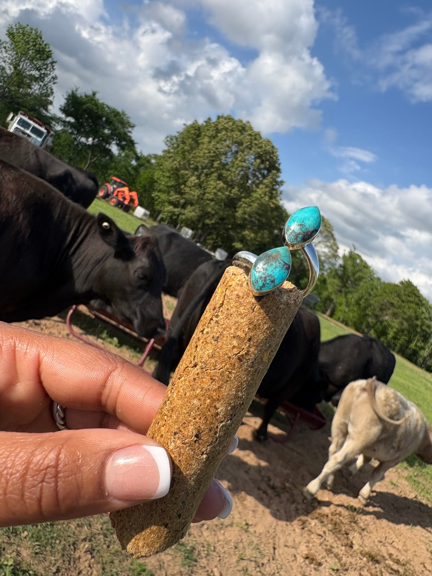 Ranch Water Rings