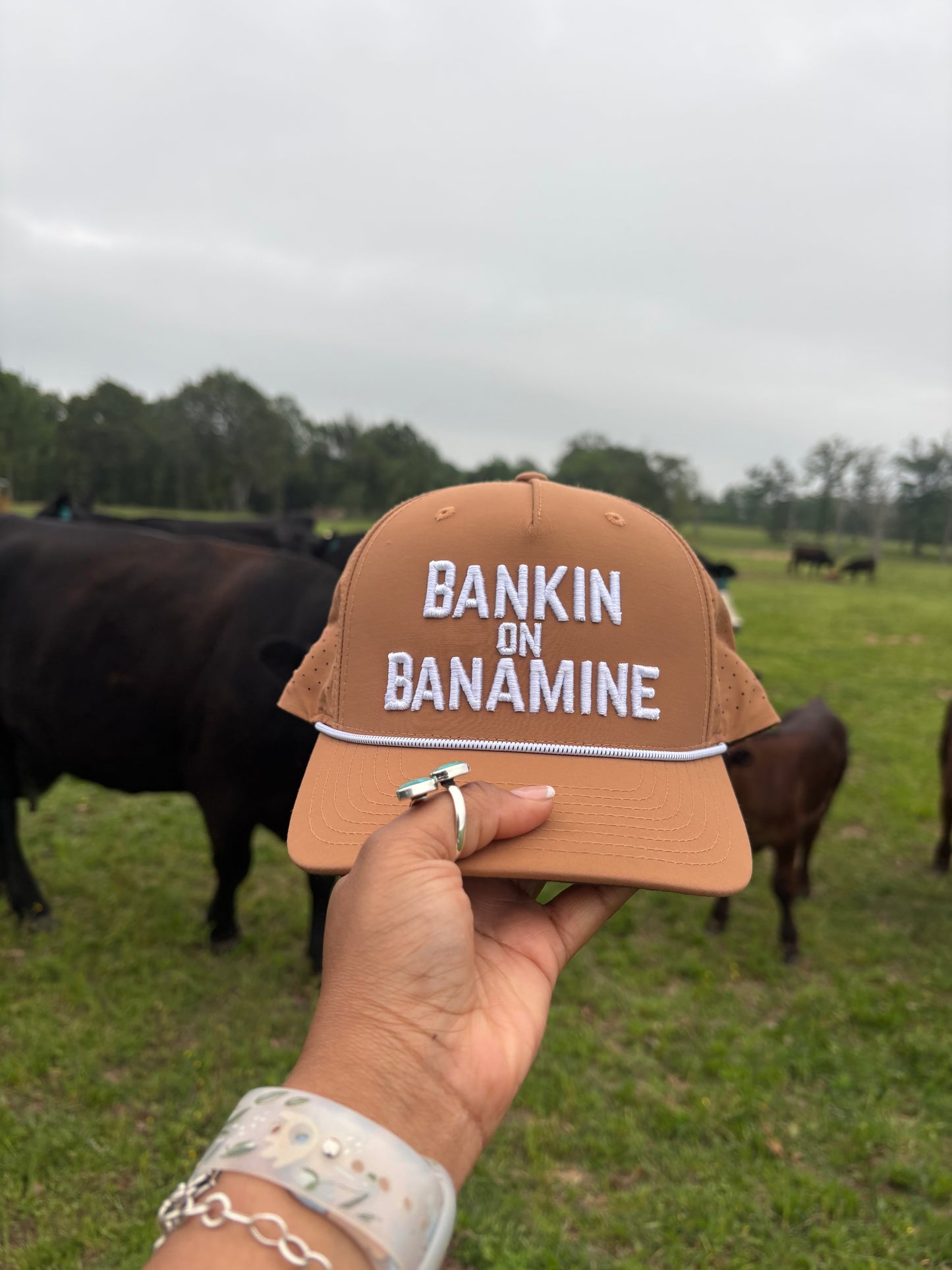 355 Bankin on Banamine