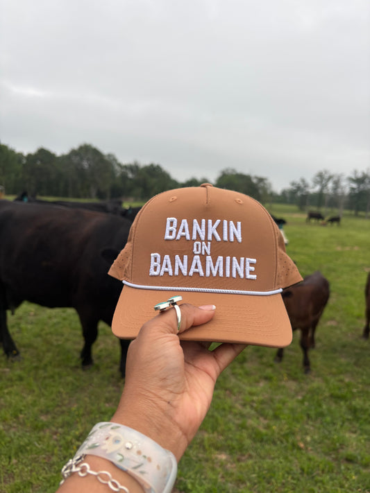 355 Bankin on Banamine