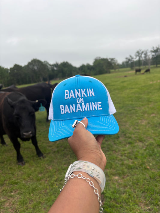 112 Bankin on Banamine