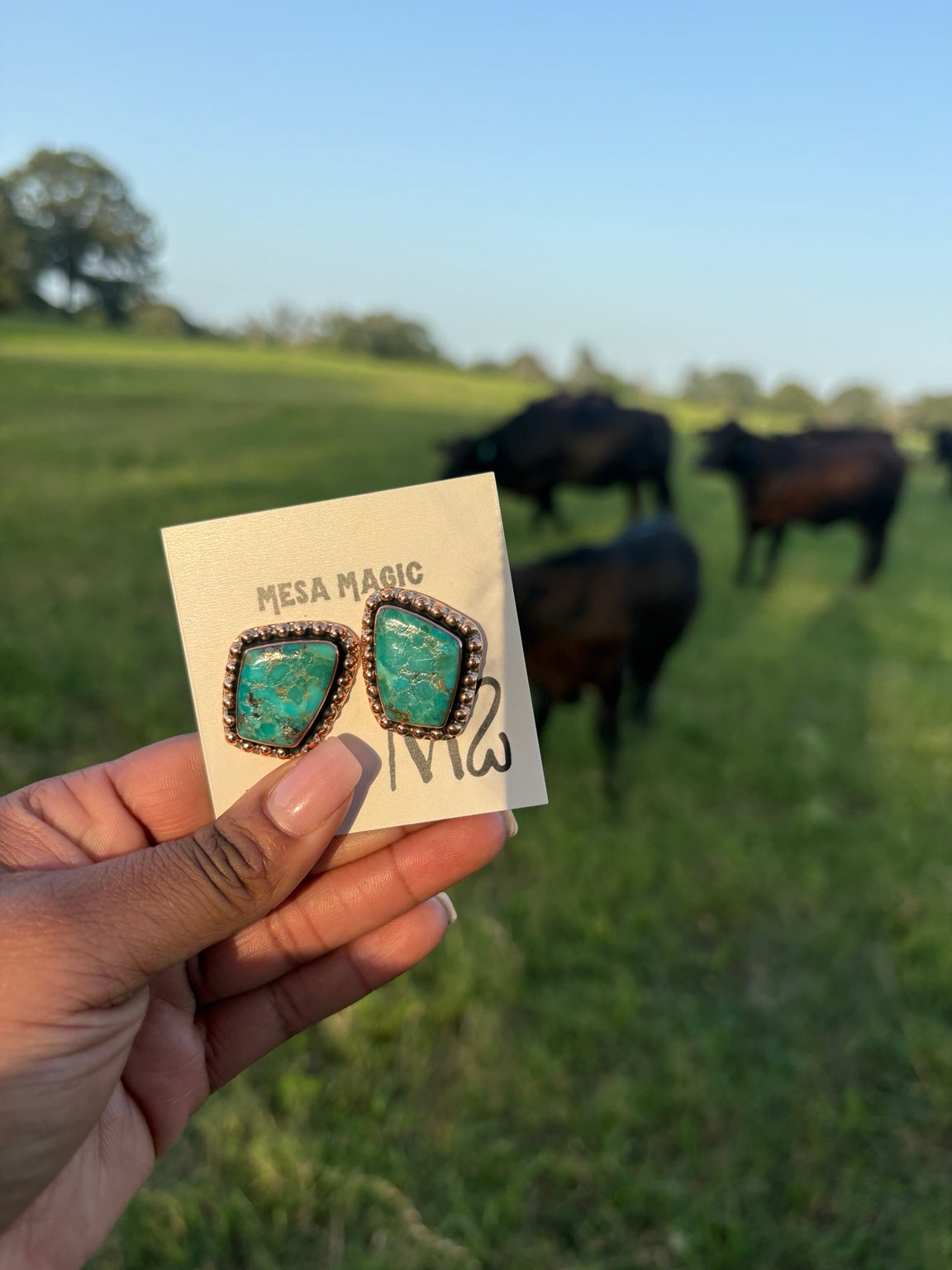 Cheyenne Studs